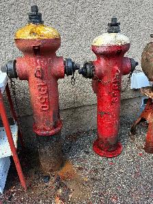 ANTIQUE FIRE HYDRANTS TEXT RYAN (204) 781-2890 - Photo 2