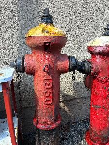 ANTIQUE FIRE HYDRANTS TEXT RYAN (204) 781-2890 - Photo 4