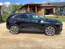 2023 Ford Escape Platinum 4 Door AWD - Photo 2