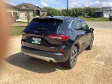 2023 Ford Escape Platinum 4 Door AWD - Photo 4