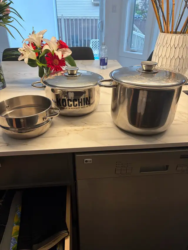 Large  Stainless steel Pots and strainer