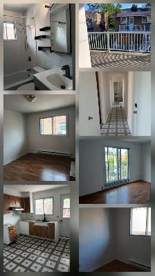 4 1/2 Apartment for Rent in Ahuntsic area