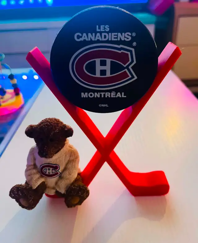 Hockey Stick Puck Holder