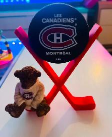 Hockey Stick Puck Holder