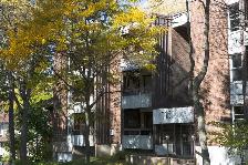 3 1/2 Ste-Foy - Tout inclus - près du cégep Garneau - octobre - Photo 4