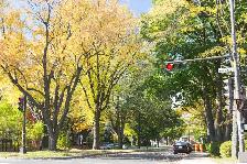 3 1/2 Ste-Foy - Tout inclus - près du cégep Garneau - octobre - Photo 5