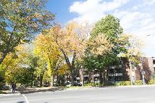 3 1/2 Ste-Foy - Tout inclus - près du cégep Garneau - octobre - Photo 7