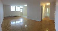 1 Bedroom Zulich Managed Apt  Available October 1st - Photo 7