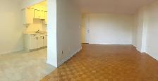 1 Bedroom Zulich Managed Apt  Available October 1st - Photo 9