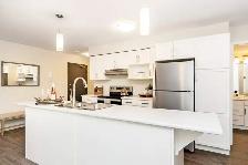 The Edge - 2 Bed - Roderick A - Winnipeg - Photo 3