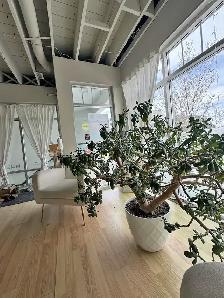 Second Floor Commercial Space in the heart of Kensington - Photo 6