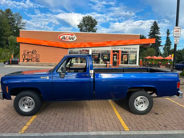 1978 Chevy Silverado Camper Special
