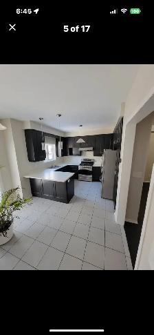 Oakville - Room for rent - Photo 4