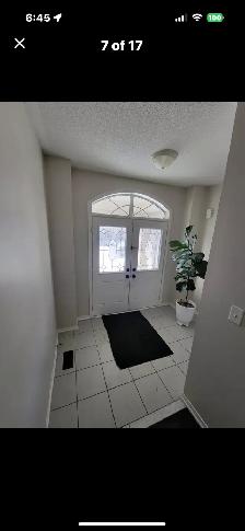 Oakville - Room for rent - Photo 5
