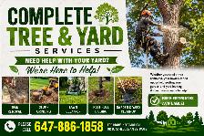 TREE & YARD SERVICES – FREE ESTIMATES!