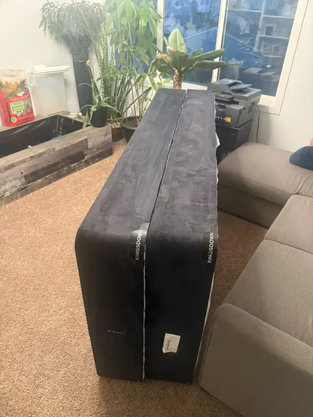 free king-size boxspring