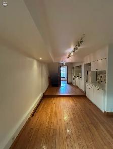 Bachelor Studio Apartment for Rent in Vaughan (Concord) - Photo 3