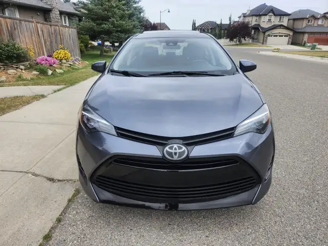 2019 Tayota Corolla