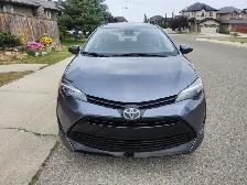 2019 Tayota Corolla