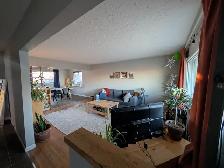 MAIN FLOOR OF HOUSE - Photo 6