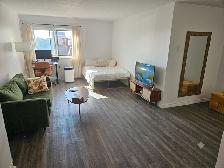 Studio 1 Bath - 65 Rue Sherbrooke Est - Photo 2