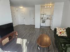 Studio 1 Bath - 65 Rue Sherbrooke Est - Photo 3