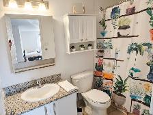 Studio 1 Bath - 65 Rue Sherbrooke Est - Photo 4