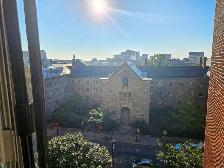Studio 1 Bath - 65 Rue Sherbrooke Est - Photo 5