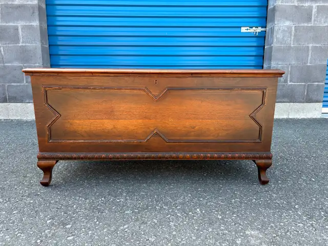 Beautiful Solid Wood Trunk