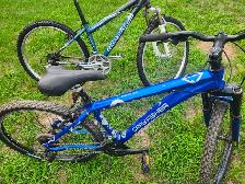 Boys Mountain Bikes For Sale - Photo 10