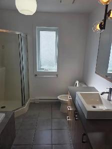 Appartement 4 1/2 à louer a St Rémi - Photo 2