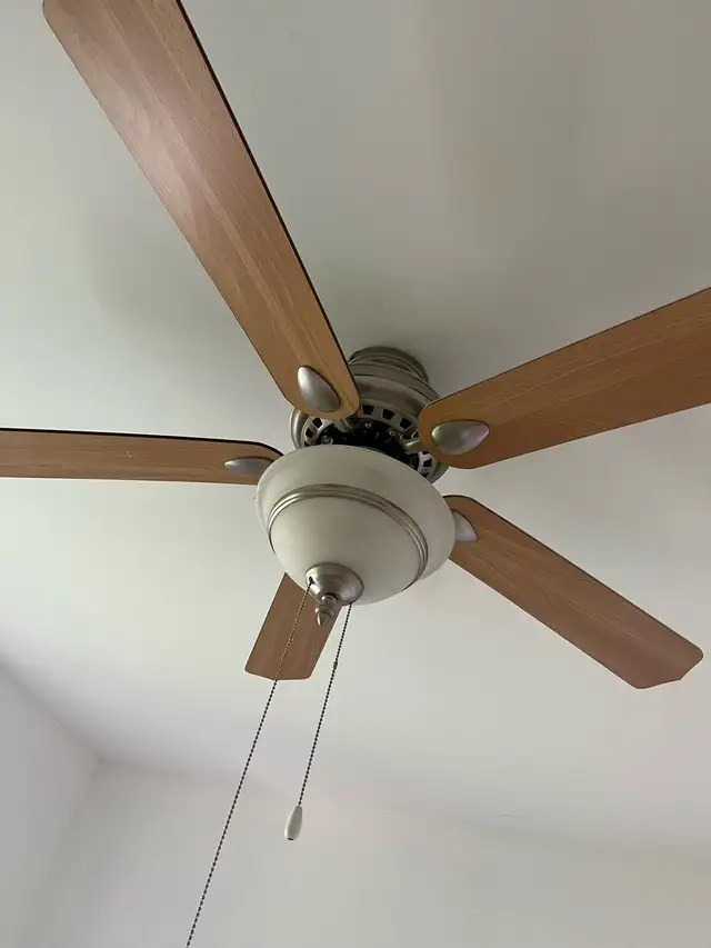 Ceiling fan light for $60