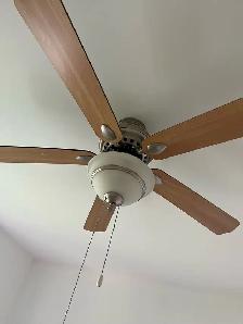 Ceiling fan light for $60