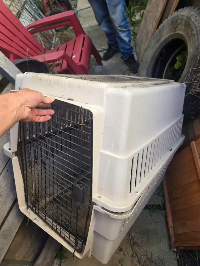 huge dog kennel. I have all sizes. I deliver for extra $20