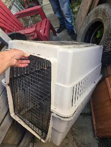 huge dog kennel. I have all sizes. I deliver for extra $20