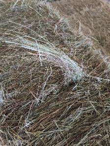 Horse quality grass small square bales for sale - Photo 3