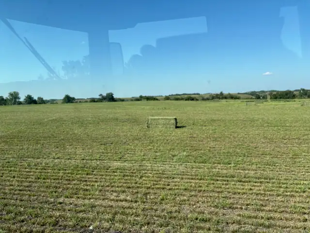 Second Cut Alfalfa