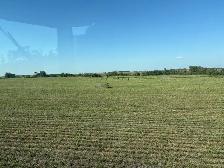 Second Cut Alfalfa - Photo 2