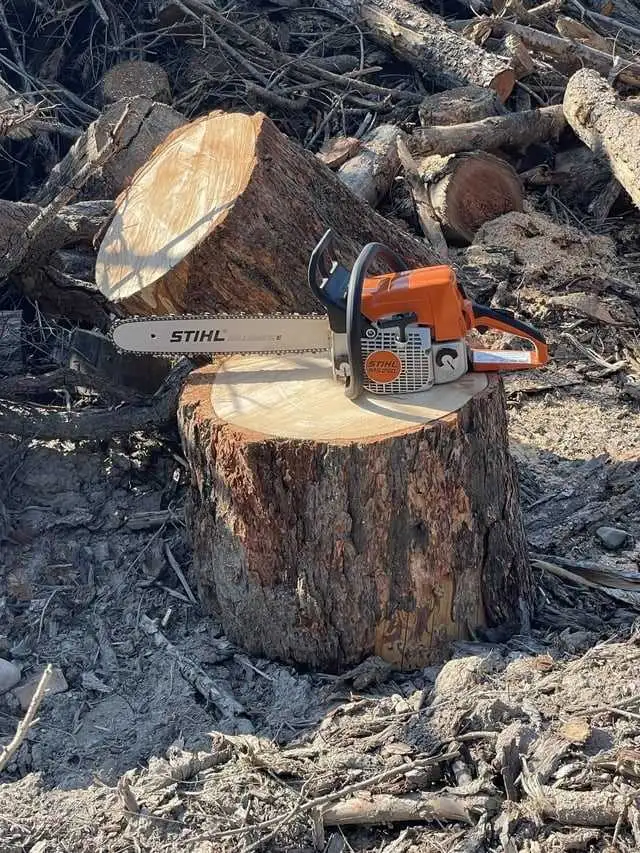 tree cutting service and land clearing