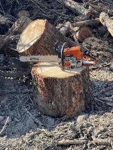 tree cutting service and land clearing