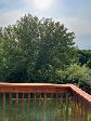 4 bedroom house for rent in Oshawa North (Pinecrest) - Photo 2