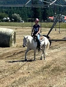 Friendly Gelding 13HH - Photo 3