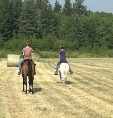 Friendly Gelding 13HH - Photo 5