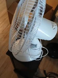 white fan