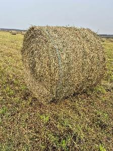 hay bales second cut