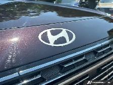 2026 Hyundai Palisade Ultimate Calligraphy - Photo 14