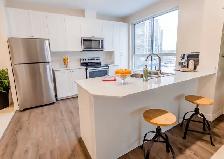 South Carriage Place - Cambridge Apartment for Rent - Photo 9