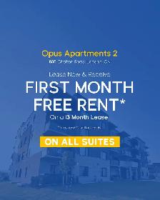 Opus Apartments 2 - GROVE Apartment for Rent - Photo 2