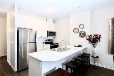 Opus Apartments 2 - GROVE Apartment for Rent - Photo 8