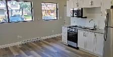 33 & 44 Berkley Drive - 2 Bedroom Deluxe Furnished for Rent in S - Photo 9